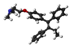 分子模型