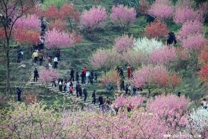 溪源峡谷 桃花山