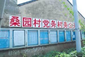 桑园村