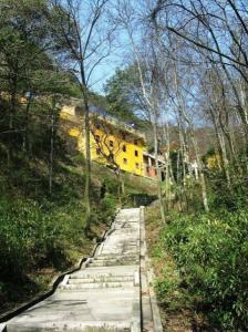 鸟巢禅寺