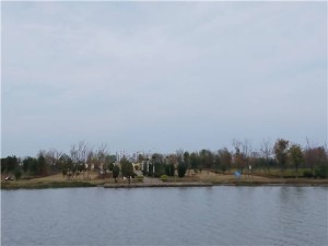 颍河