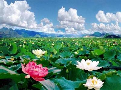 砚山浴仙湖