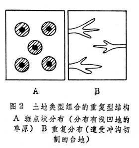 土地结构