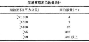 表1