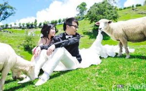 清境农场婚纱照