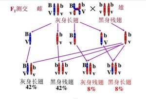 什么叫做基因的连锁 300