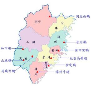 漳州斗鸡以及同类的分布图