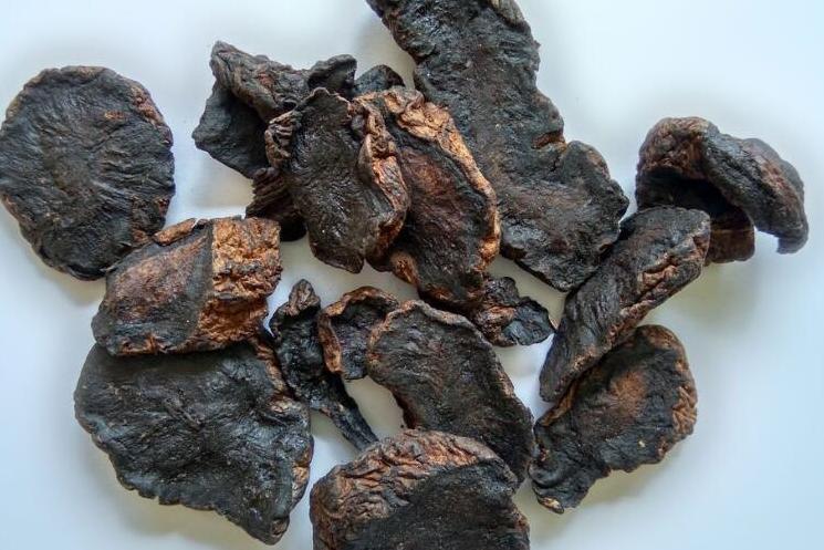 生地黄 搜狗百科