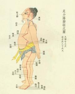 足少阳胆经图解