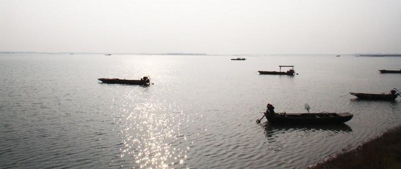 瓦埠湖全景