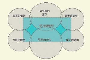 学习型组织的特点