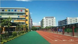 广东省深圳宝安区新安街道 300