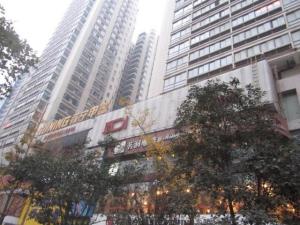 赛高国际项目详情