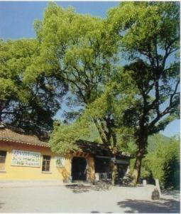 宝岩寺