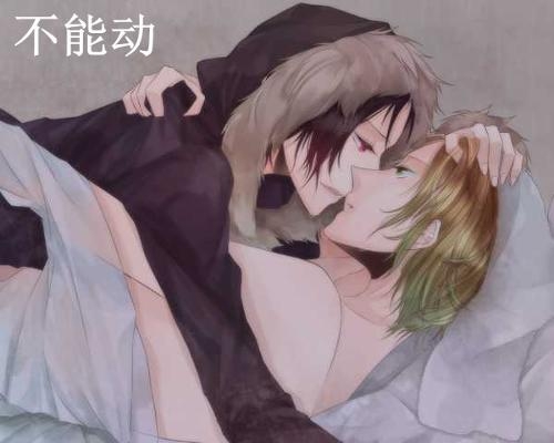 耽美小说图片