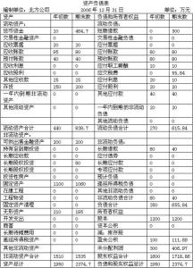 �ʲ���ծ������