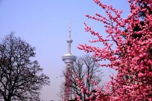 古林公园