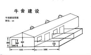 架子牛牛舍设计图