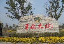 大丰