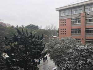 雪中校园