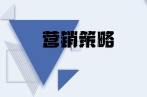 营销策略