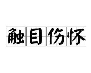触目伤怀(chù mù shāng huái),汉语成语,意思是看到某种情况而