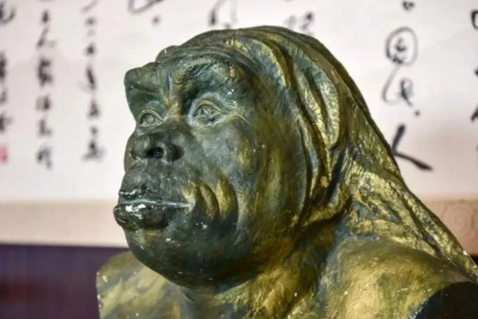 蓝田人(旧石器时代早期直立人)_搜狗百科