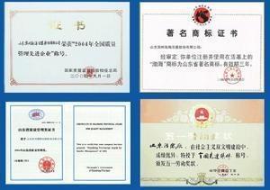 荣誉证书 荣誉证书