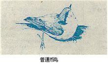 普通䴓