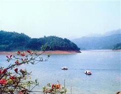 桃花江景点