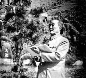 应野平