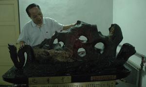 与爱好相关的图