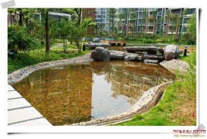 学校风景