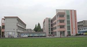 余新镇中心小学