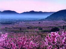 滕头村景点