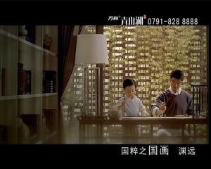 万科青山湖 企业形象广告