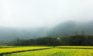 峨桥响水涧
