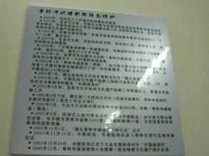 抢救与保护