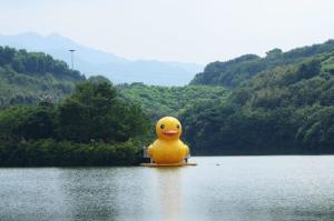 雁鸣湖
