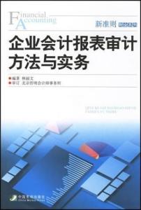 关于会计报表审计书籍