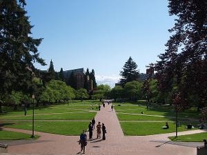 华盛顿大学