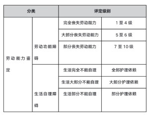 职工非因丧失劳动能力程度鉴定标准