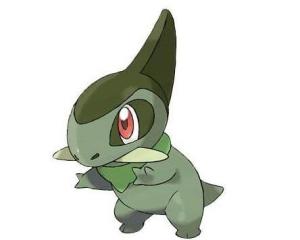 幼牙龙 - 搜狗百科