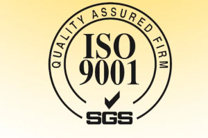 ISO9001质量管理体系认证