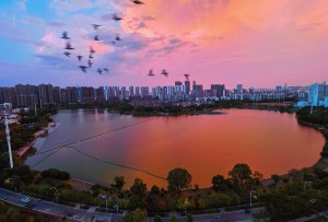 东西湖区