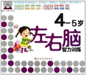 左右脑训练图 300