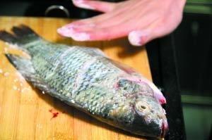 制作材料