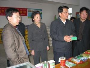 吴铺镇领导视察