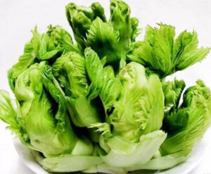 茎瘤芥