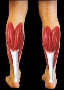 跟腱炎相关图片
